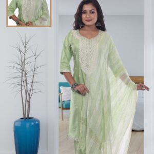 Maya Dabivaran new style 3 pic kurti